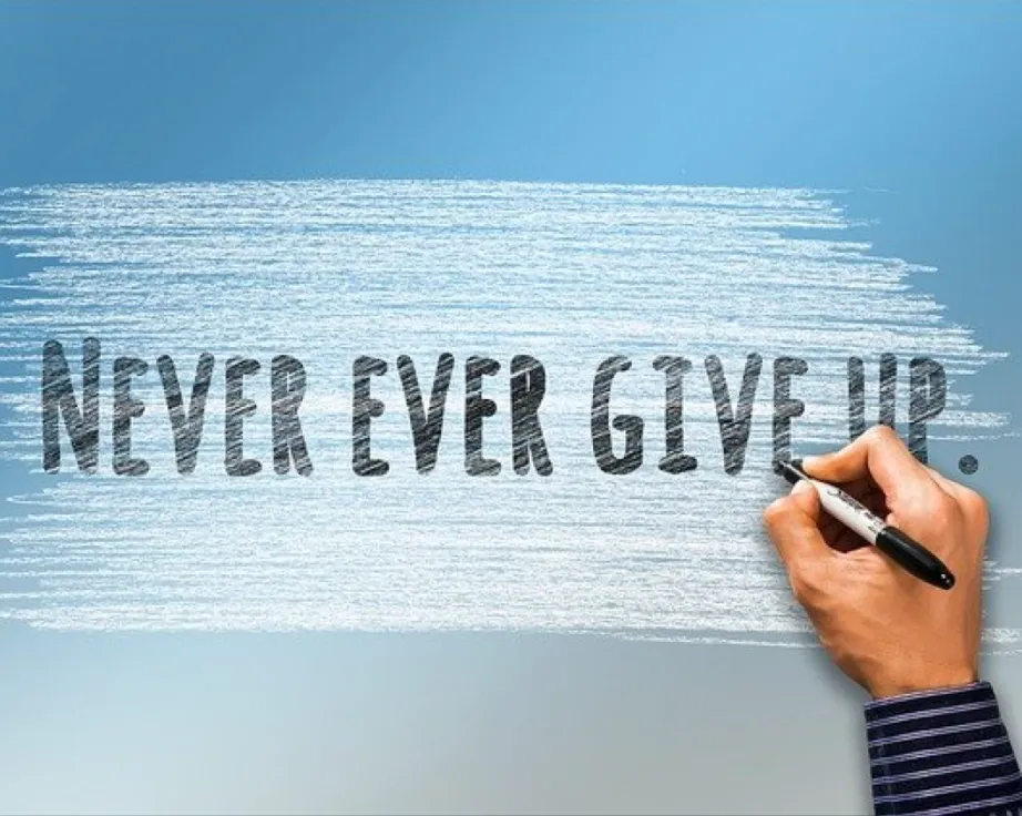 The Art of Perseverance in Business